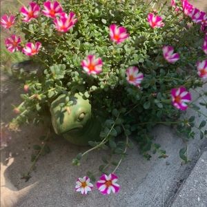 Meet your Posher, Misty